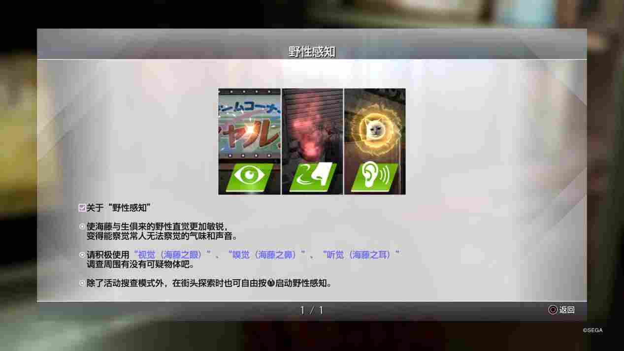 《审判之逝:湮灭的记忆》海藤正治事件簿评测:人赠外号小桐生