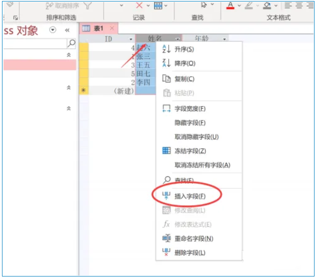 access2013怎么设置flied？access2013设置flied的方法截图