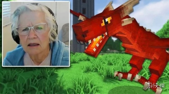 81岁奶奶直播《我的世界》赚钱为17岁孙子治疗癌症！