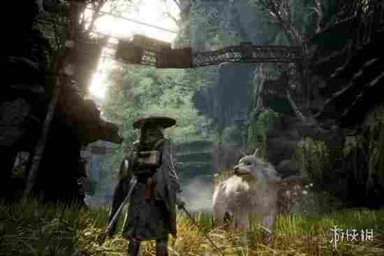 宝可梦开发商《轮回之兽》画面爆强!宝可梦粉丝嫉妒了