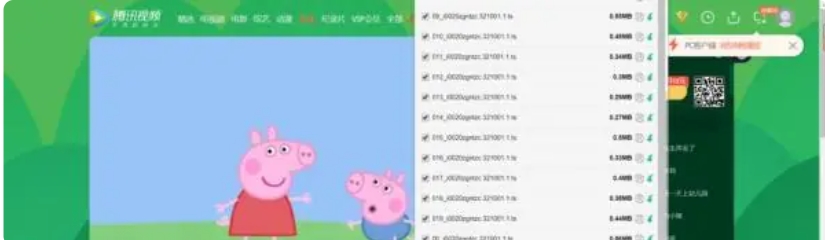 猫抓怎么批量下载？猫抓插件批量下载的操作方法截图